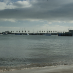 DSC00701-w740_h495